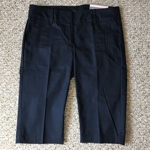 NWT Banana Republic Bermuda Shorts in Navy